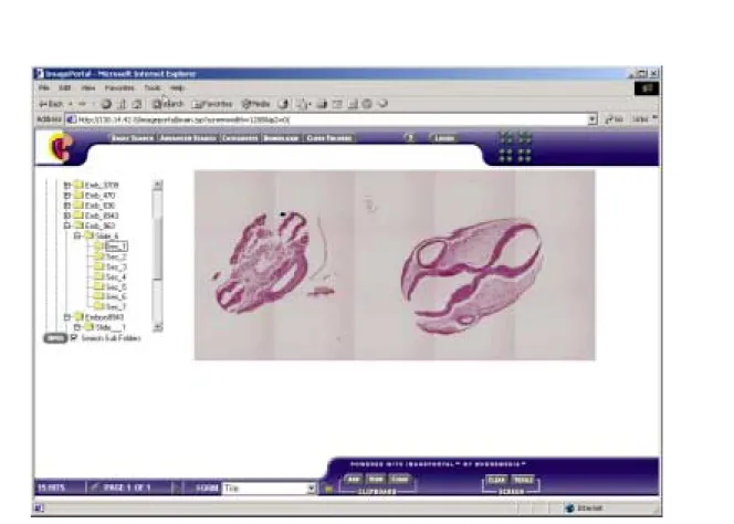 Figure 1: AFIP Website Embryo Access 