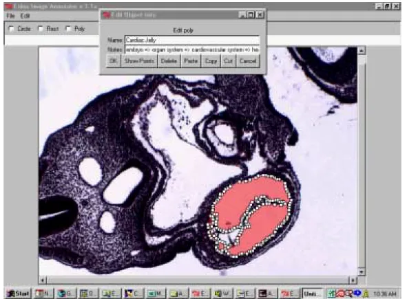 Figure 2: Annotation of Embryo 