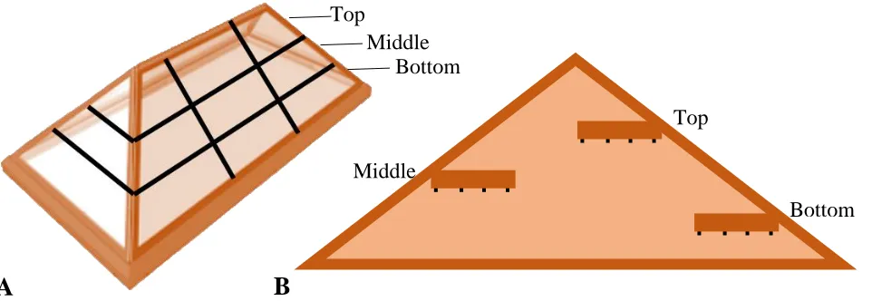 Figure 2.2. Sampling schematic to illustrate height zones, conceptual grid for randomized sampling within height zone, and sampling depth