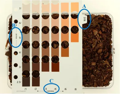 Figure 2.3. Example of a Munsell Soil Color card. Three coordinates – hue (A), value (B), and chroma (C) describe possible colors
