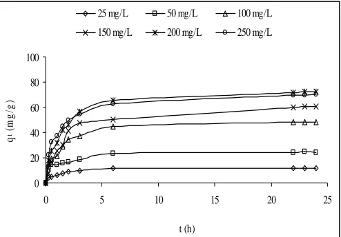 Figure 2. Effect of contact time on MG adsorption on RSCAC  at various initial concentrations