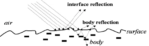 Figure 2.1 The mechanism of reflected light on inhomogeneous surface 
