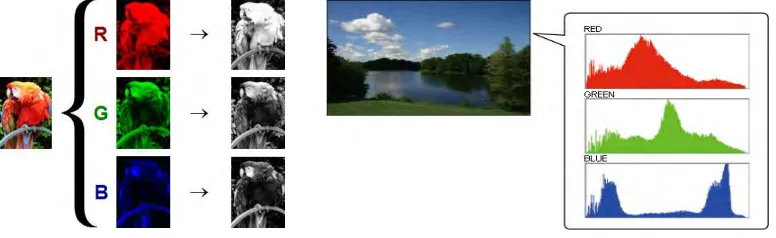 Figure 2.2 RGB Images on Single Channels Conversion and RGB histogram  
