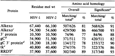 TABLE 1. Summary of homology between predictedpolypeptides encoded by HSV-1 and HSV-2