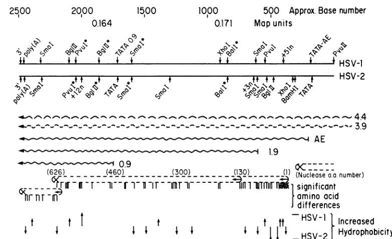 FIG.encoding