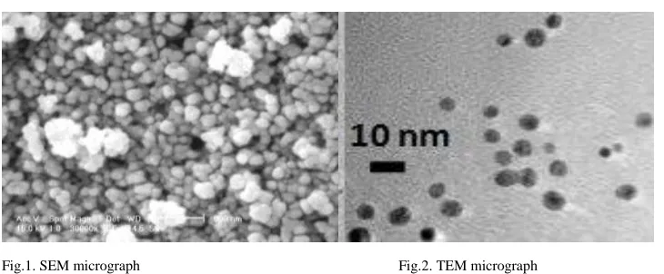 Fig.1. SEM micrograph  