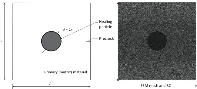 Figure 7: Geometry and ﬁnite element model of a unit cell of an extrinsic self-healing material