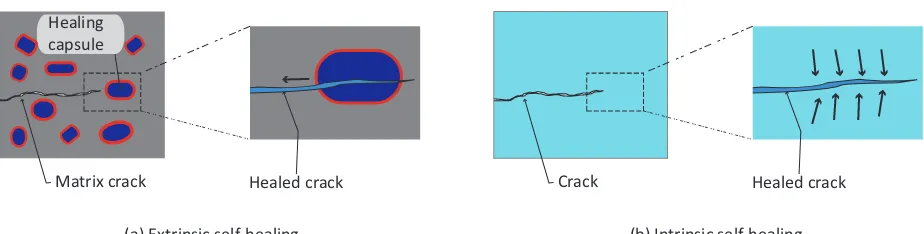 Figure 1: Schematic of (a) a capsule-based extrinsic self-healing material: A matrix crack is attracted