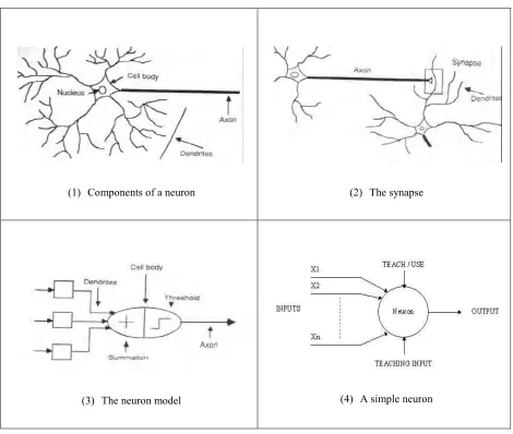 Figure 3-1: Neuron Network 