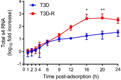 FIG 3 Total s4 RNA levels are diminished in T3D-infectedto adsorb ontoRNA was quantiﬁed by RT-qPCR