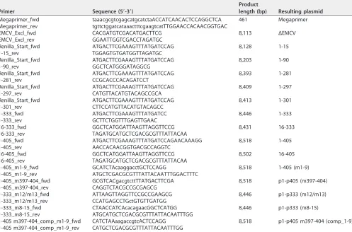 TABLE 2 Primers used for generation of different BovHepV constructsa
