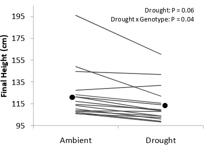 Figure 3.3 Effects of drought treatment x plant genotype on final soybean height. Here, each line represents the least squares mean for a soybean genotype for both ambient and drought treatments