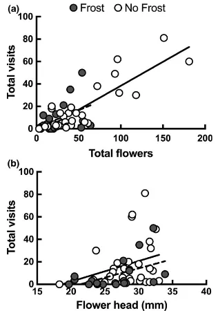 Figure 3b) attracted fewer visits from pollinators, with no interaction