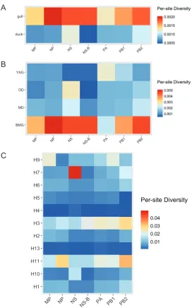 FIG 5 Overall per-site nucleotide sequence diversity, deﬁned as the average number of nucleotidedifferences per site between two sequences in all possible pairs in the sample population normalized tothe number of sequences in each population