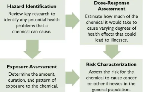 Fig. 1. The four basic steps in health risk assessment [1].  