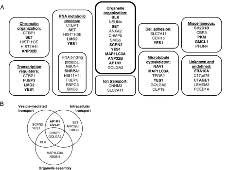 FIG 1 ORF9p interacts with cellular proteins involved in various processes. A yeast two-hybrid screen against human ORFeome 5.1 was performedand identiﬁed 31 potential cellular partners of ORF9p