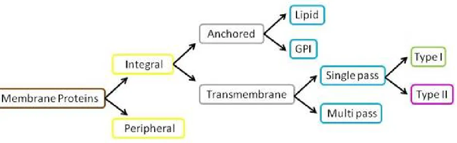Fig. 1: Classification of Membrane Proteins