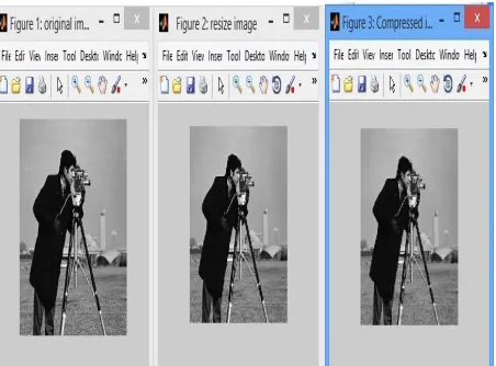 Figure 2; show the Cameraman image of 4×4 block pixel. In this figure 2 (a) show the random image of the Cameraman image and resize the image of the 256×256 in the dog image show in figure 2 (b)