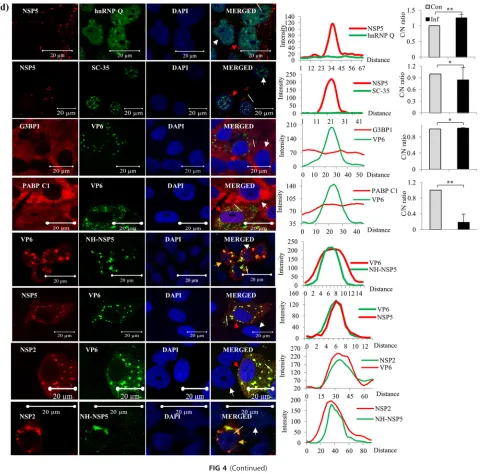 FIG 4 (Continued)