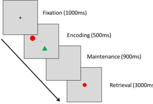 Figure 1. An example of one trial containing the shape stimuli.  