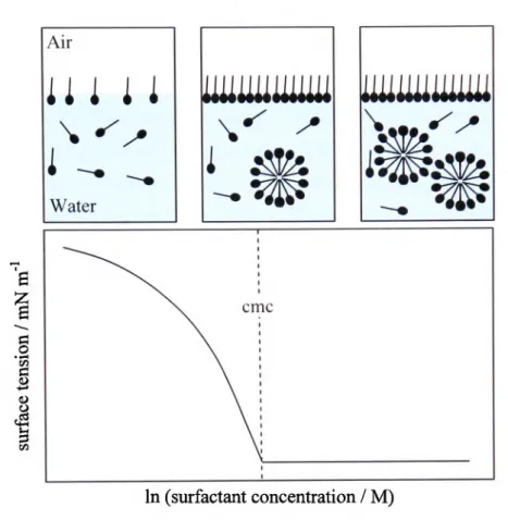 Figure  1-4.  The  effect  of surfactant  adsorption  at  the  air-water  interface  on  the  solution surface tension [19].