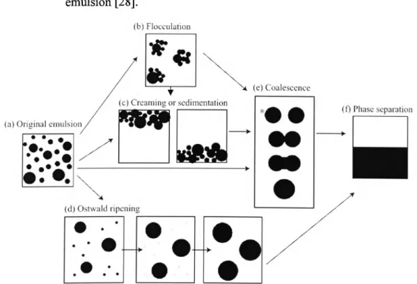 Figure  1-7.  The  different  processes  involved  in  the  breakdown  of  an  unstable  emulsion [28].