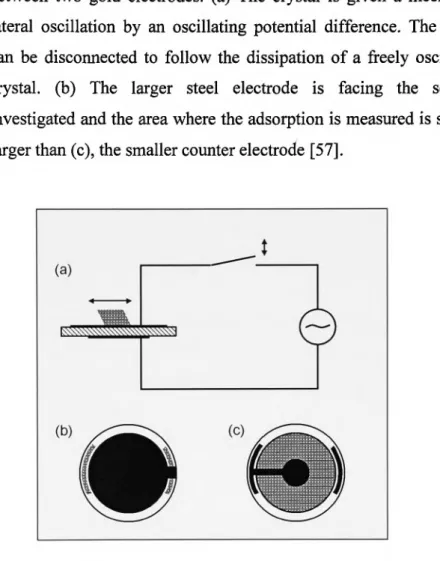 Figure  1-15.  The  heart  of the  QCM  is  the  AT-cut  quartz  crystal  disc  sandwiched  between  two  gold  electrodes,  (a)  The  crystal  is  given  a  mechanical  lateral  oscillation  by  an  oscillating  potential  difference
