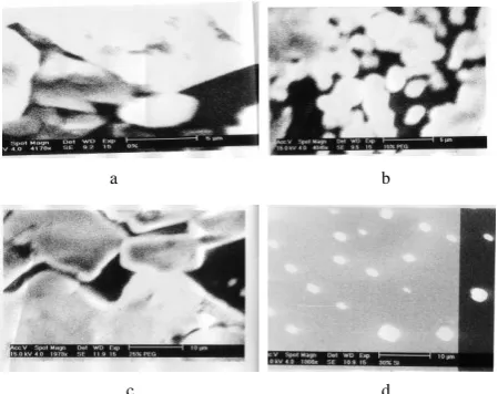 Fig. 1. SEM Characterization of TiO2 in various compositions, (a). TiO2 100%, (b). TiO2 /PEG-15%, (c)