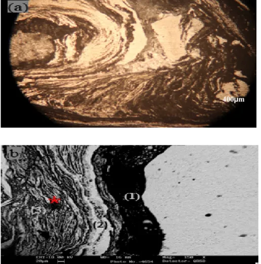 Fig. 5  a) Optical microscope image, b) Scanning electron microscope image of the welded area