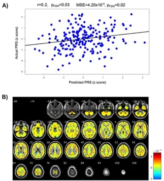Fig. 1. Results for the autism polygenic risk score (PRS). A) Correlations between actual autism PRS and the PRS predicted from the grey matter volume maps.pFDR = False Discover Rate corrected p-values