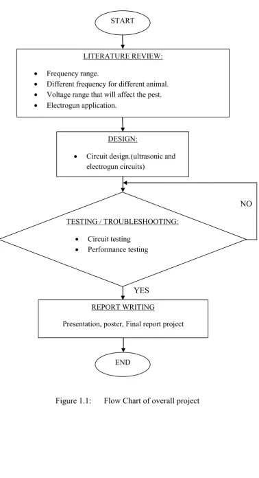 Figure 1.1: 