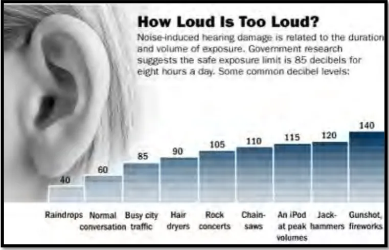 Figure 2.2.21: Dangerous decibels for human [9] 