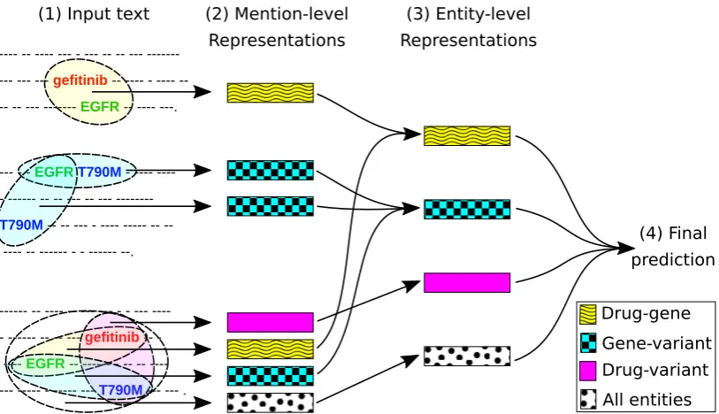 Figure 2: Multiscale representation learning for document-level n-ary relation extraction, an entity-centric ap-proach that combines mention-level representations learned across text spans and subrelation hierarchy