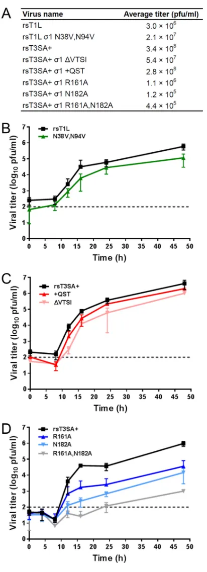 FIG 5 Mutant reovirus replication in L cells. (A) Average titers from stocks of three independent clonesper virus recovered by reverse genetics, plaque puriﬁed, and ampliﬁed twice in L cells