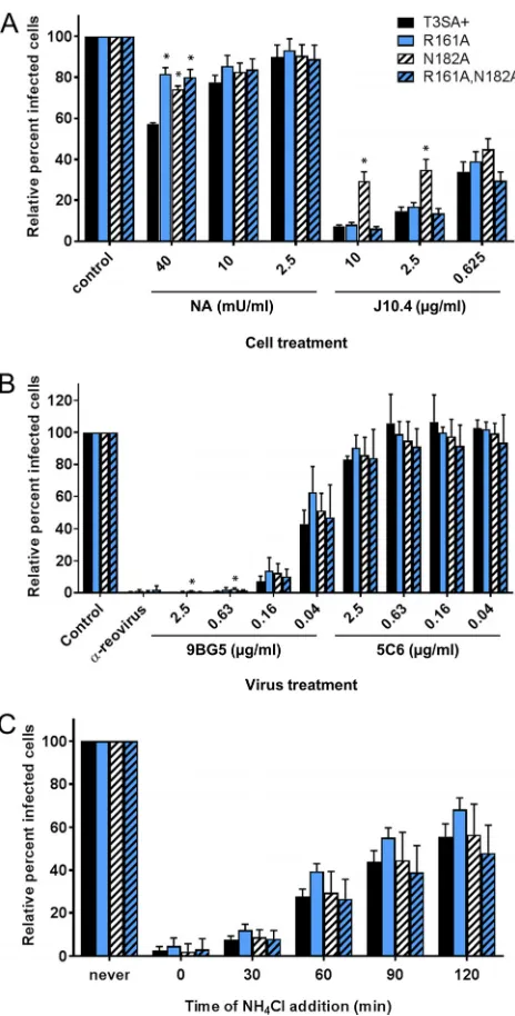 FIG 6 Attachment and entry properties of�infectious concentrations of rsT3SAJAM-A-CHO cells were treated with the indicated concentrations of NA to remove sialic acid or J10.4 toblock binding to JAM-A or left untreated (control) prior to adsorption with eq