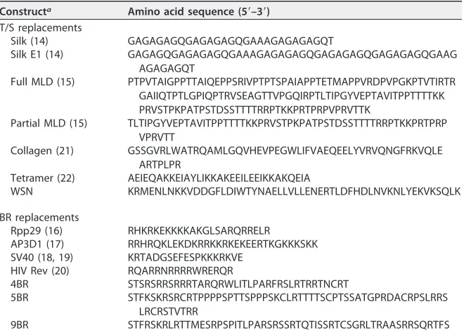 TABLE 1 Amino acid sequences of different T/S and BR module replacement constructs