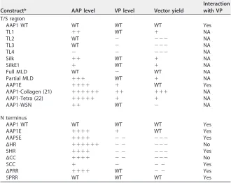 TABLE 2 Summary of biological properties of T/S and N-terminal constructsa