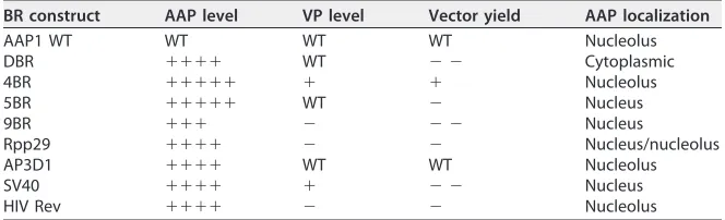 TABLE 3 Summary of biological properties of BR constructsa