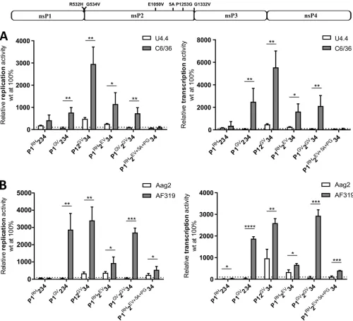FIG 5 In mosquito cells, increased activity of CHIKVcounteracted by the RNAi system. Names and localizations of mutations introduced in the ns-polyprotein are shown above the panels