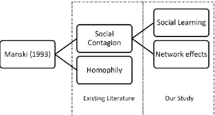 Figure 1. The Conceptual Framework of Social Learning and Network Effects 
