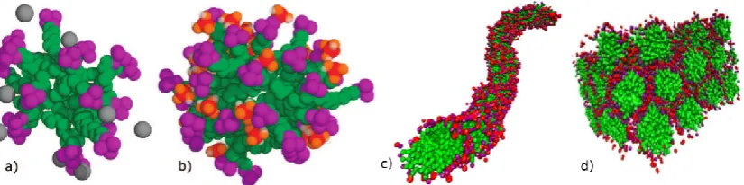 Figure 3. Snapshots showing the evolution of silica/surfactant aggregate structures during the early stages of MCM-41 synthesis, as observed from MD simulations using a multi-scale modelling approach: a) small spherical micelle in a dilute surfactant/water