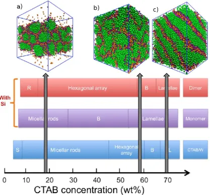 Figure 4. Map of the mesophases observed in coarse-grained simulations of different solutions at a range of initial surfactant concentrations, representative of incremental stages of PMS synthesis, from bottom to top: surfactant/water solution; silica mono