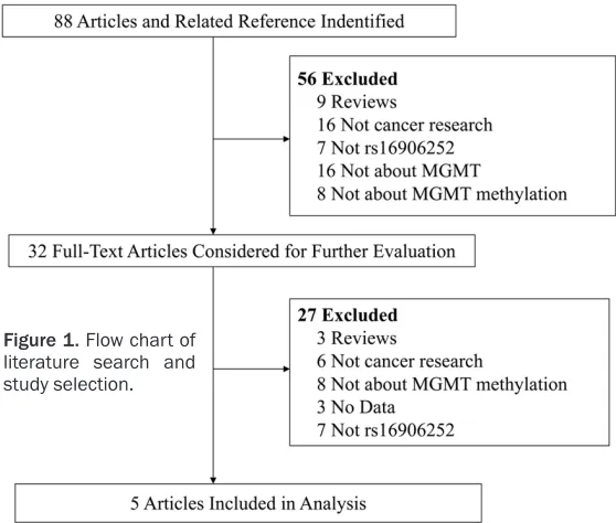 Figure 1. Flow chart of literature search and 
