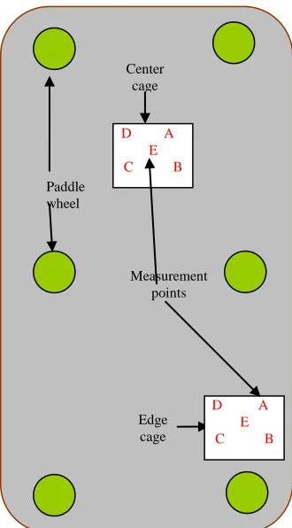 Fig. 2. Six paddle wheels which distributed in the edges of breeding farm. Edge cage and center cage with each five points (A, B, C, D, E) for sound 