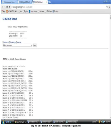 Fig 3: The result of ClustalW of input sequences 