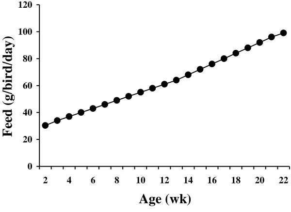 Figure I-1. Feeding program during the rearing period in Manuscript I. Ross 308 and                    708SF pullets received feed according to this feeding program from placement to 22 wk of age