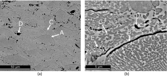 Fig. 5. BSE micrographs showing the microstructure of the HVOF Stellite 6 coatings following vacuum heat treatment at 1050 °C for 1 h