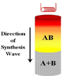 Fig. 5. Schematic representation of the SHS process