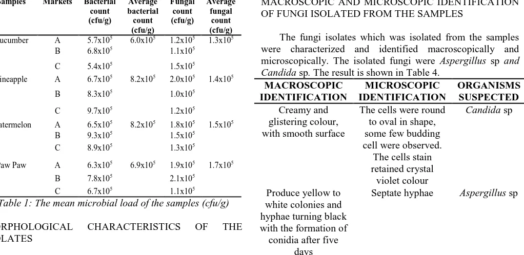 Table 4: Macroscopic and Microscopic Identification of Fungi Isolated From The samples 