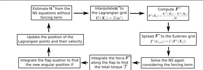 Fig. 3 Schematic of a full time step for the coupled ﬂuid-wing-ﬂap system.